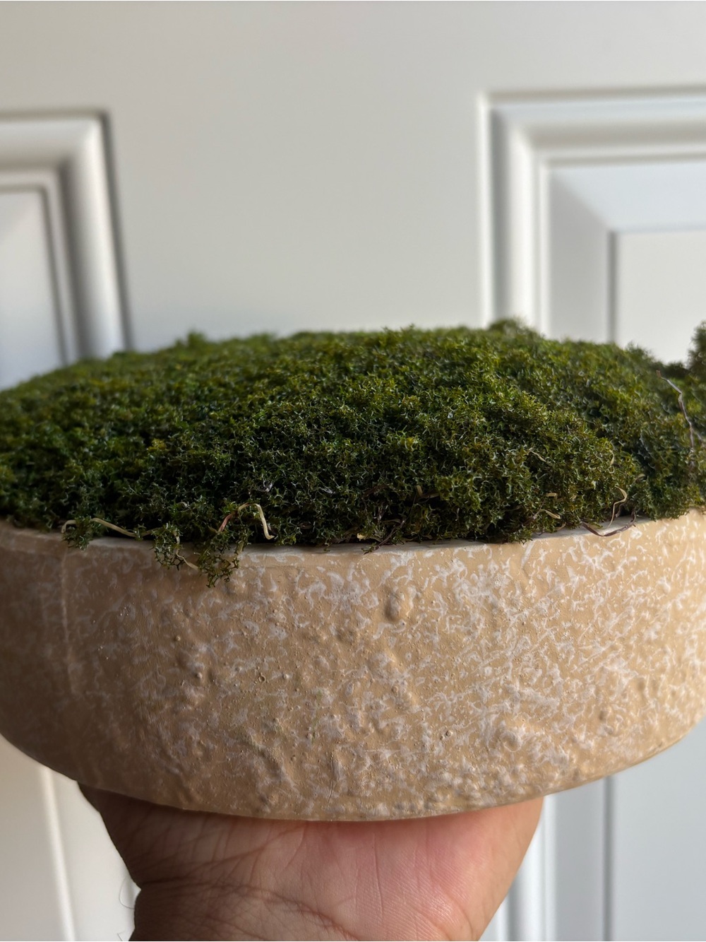Decorative Faux Moss Bowl from Threshold